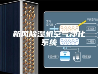 行业新闻新风除湿机空气净化系统