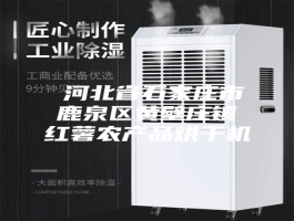 ​河北省石家庄市鹿泉区黄壁庄镇红薯农产品烘干机