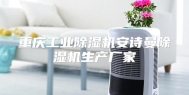 重庆工业除湿机安诗曼除湿机生产厂家