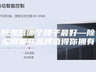 知识百科除湿器哪个牌子最好—除湿器哪些品牌值得你拥有