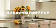 除湿机和衣服烘干机哪个更实用？