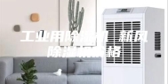 工业用除湿机 新风除湿机价格