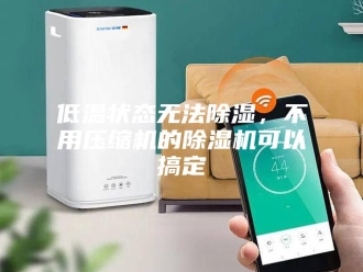 常见问题低温状态无法除湿，不用压缩机的除湿机可以搞定