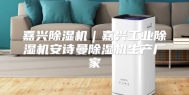 嘉兴除湿机｜嘉兴工业除湿机安诗曼除湿机生产厂家