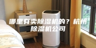 哪里有卖除湿机的？杭州除湿机公司