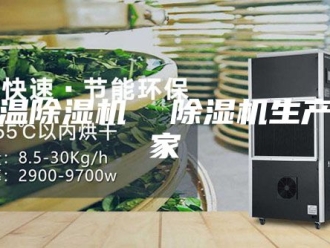 企业新闻高温除湿机  除湿机生产厂家
