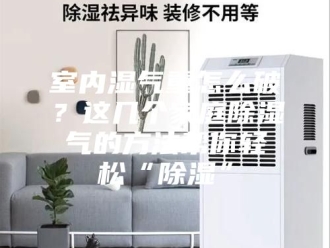 知识百科室内湿气重怎么破？这几个家庭除湿气的方法帮你轻松“除湿”