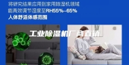 工业除湿机厂商直销