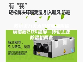 苏州美力美太阳能电池板玻璃覆膜20%湿度--转轮工业除湿机两套