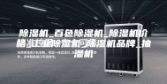 除湿机_百色除湿机_除湿机价格_工业除湿机_除湿机品牌_抽湿机