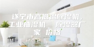 遂宁市高低温除湿机，工业抽湿机  除湿器厂家 价格