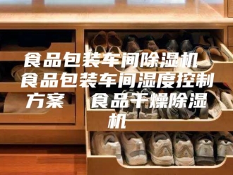 企业新闻食品包装车间除湿机 食品包装车间湿度控制方案  食品干燥除湿机