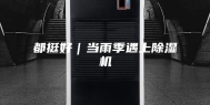 都挺好｜当雨季遇上除湿机