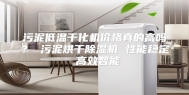 污泥低温干化机价格真的高吗？ 污泥烘干除湿机 性能稳定 高效智能