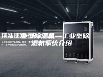 行业新闻工业型除湿机—工业型除湿机系统介绍
