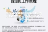 慈溪小家电频成网红 299元的除湿机一个月众筹了近824万