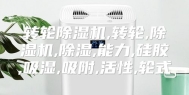 转轮除湿机,转轮,除湿机,除湿,能力,硅胶,吸湿,吸附,活性,轮式