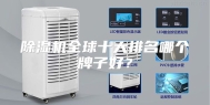 除湿机全球十大排名哪个牌子好？