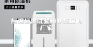 恒温恒湿试验箱非标定制厂家