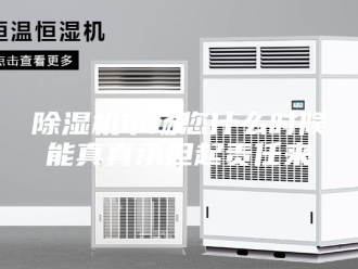 企业新闻除湿机市场您什么时候能真真承担起责任来