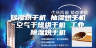 除湿烘干机 抽湿烘干机 空气干燥烘干机 工业除湿烘干机