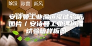 安诗曼工业温恒湿试验箱图片／安诗曼工业温恒湿试验箱样板图