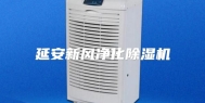延安新风净化除湿机