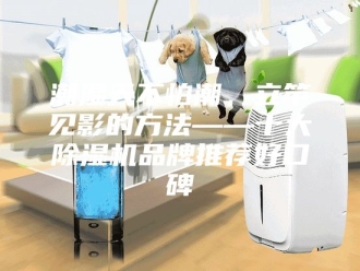 行业新闻潮湿天不怕潮，立竿见影的方法——十大除湿机品牌推荐好口碑