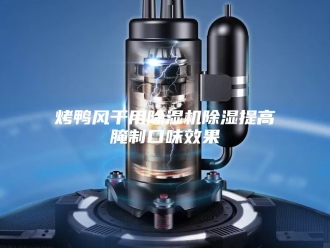 行业新闻烤鸭风干用除湿机除湿提高腌制口味效果