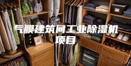 气膜建筑间工业除湿机项目