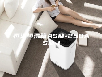 常见问题恒温恒湿箱ASM-250ASM-I
