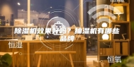除湿机效果好吗？抽湿机有哪些品牌