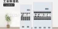 海鲜烘干选用烘干除湿机