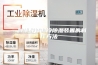 一种半导体制冷除湿装置的制作方法