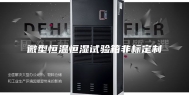 微型恒温恒湿试验箱非标定制