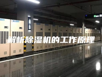 企业新闻解析除湿机的工作原理