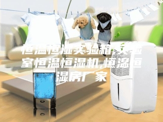 常见问题恒温恒湿实验箱,实验室恒温恒湿机,恒温恒湿房厂家