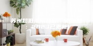 苏州超低湿防潮箱厂家(优推：2023已更新)