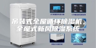吊装式全屋循环除湿机，全屋式新风除湿系统