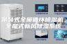 吊装式全屋循环除湿机，全屋式新风除湿系统