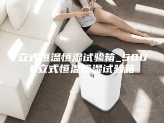 常见问题立式恒温恒湿试验箱_500L立式恒温恒湿试验箱
