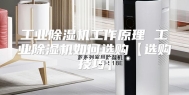 工业除湿机工作原理 工业除湿机如何选购【选购技巧】