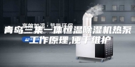 青岛三集一体恒温除湿机热泵-工作原理,便于维护