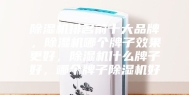 除湿机排名前十大品牌，除湿机哪个牌子效果更好，除湿机什么牌子好，哪个牌子除湿机好