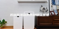 揭秘防潮箱的各种除湿原理