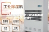 工业除湿机原理（除湿机的结构与原理）