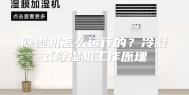 除湿机怎么运行的？冷凝式除湿机工作原理