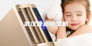 武汉管道除湿机
