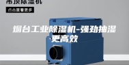 烟台工业除湿机-强劲抽湿更高效
