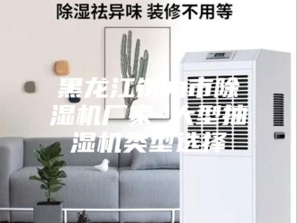 企业新闻黑龙江铁力市除湿机厂家_大型抽湿机类型选择